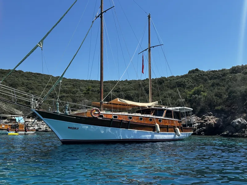 MELİSA Y